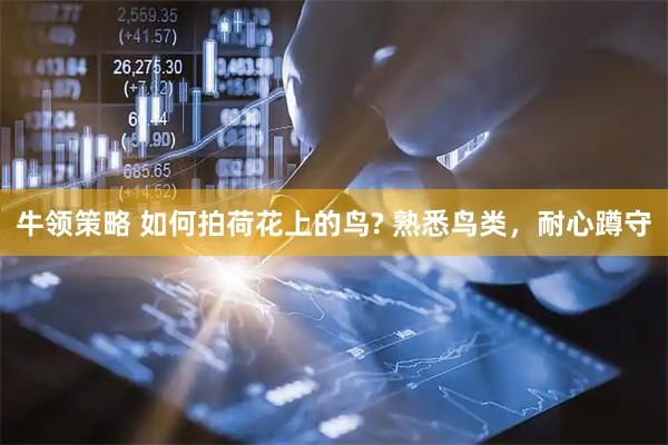 牛领策略 如何拍荷花上的鸟? 熟悉鸟类，耐心蹲守