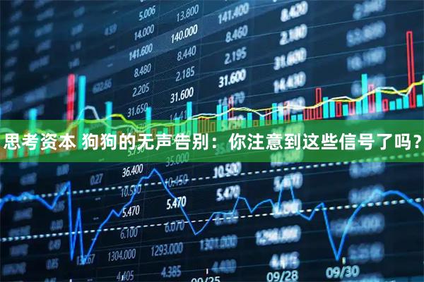 思考资本 狗狗的无声告别：你注意到这些信号了吗？