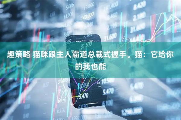 趣策略 猫咪跟主人霸道总裁式握手。猫：它给你的我也能