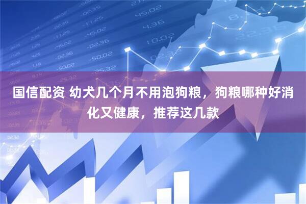 国信配资 幼犬几个月不用泡狗粮，狗粮哪种好消化又健康，推荐这几款