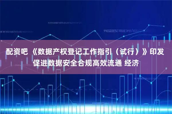 配资吧 《数据产权登记工作指引（试行）》印发 促进数据安全合规高效流通 经济